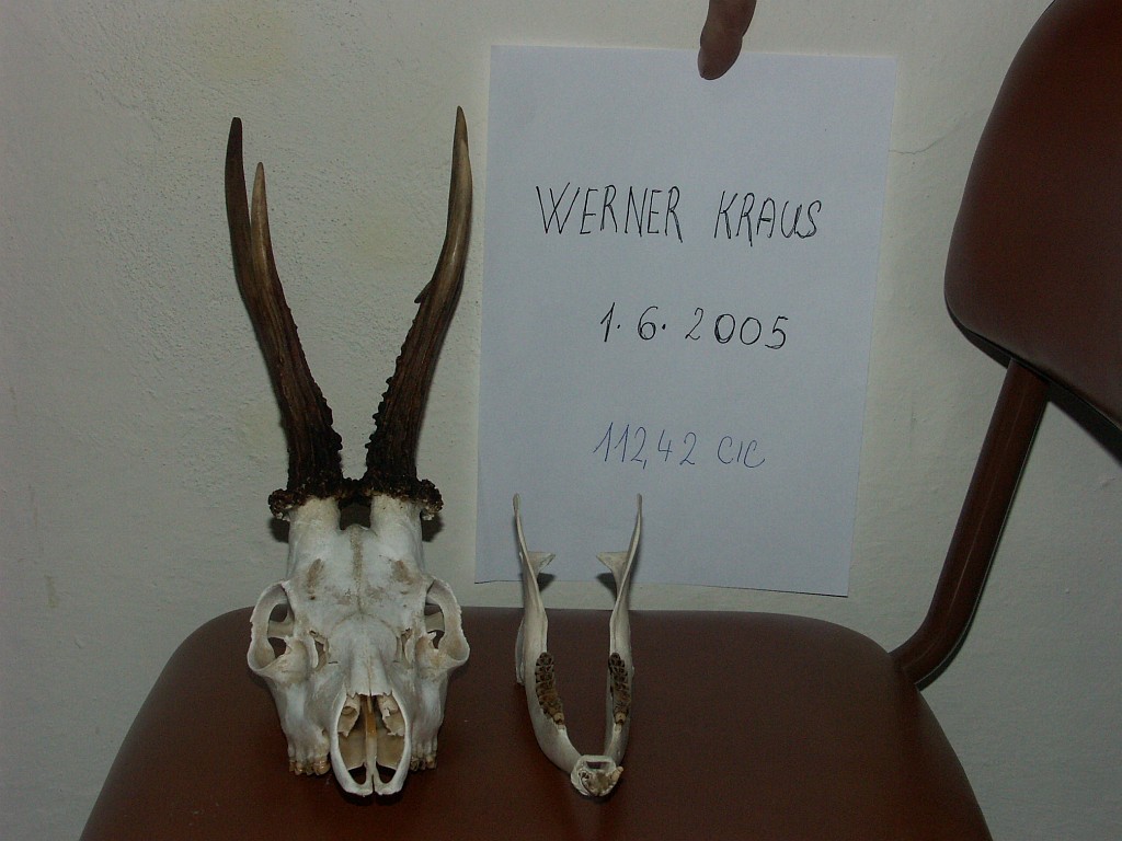 PICT2224.JPG