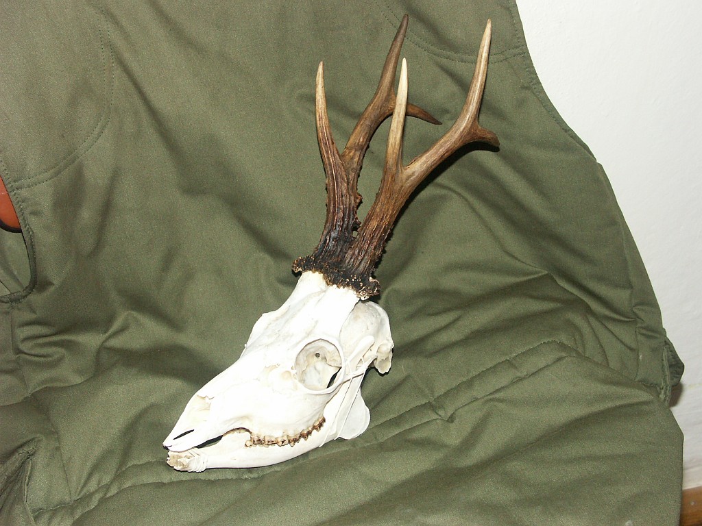 PICT2230.JPG